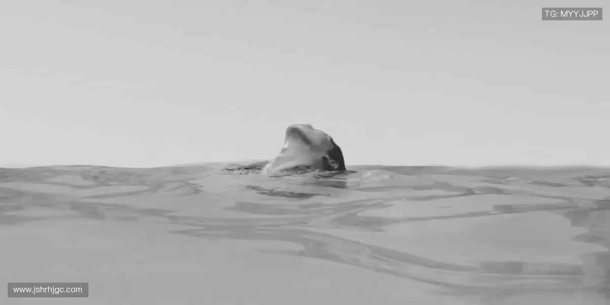 装备升级,战力狂飙!🎯