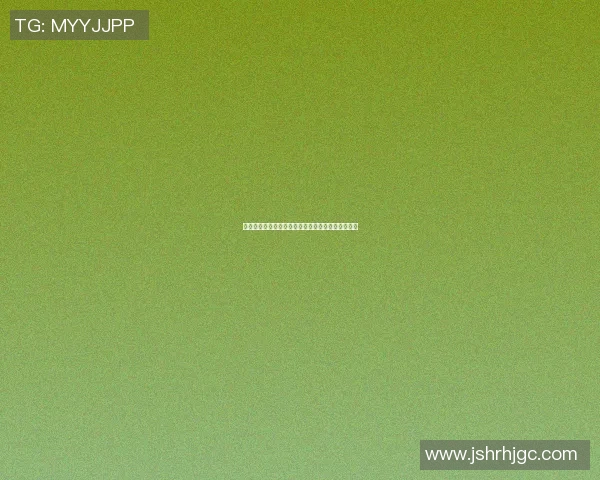 篮球明星水平排名解析谁才是当今篮球界的真正王者